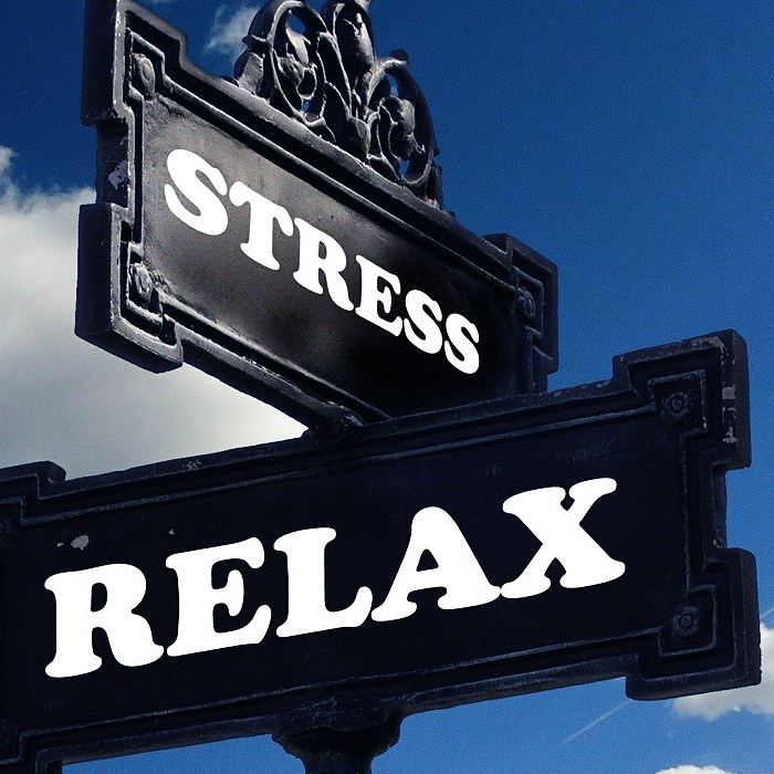 wachsam, Selbstkontrolle, Baustein, gelungen, Unsicherheit, Leistungsfähigkeit, kognitiv, emotional, gefordert, Leistungsverhalten, Bezug, Schulreife, ständig, Vergleich, Aussage, Fachleute, Einrichtung, verunsichern, Verbindung, natürlich, zulassen, lösungsorientiert, Raum, Spiel, Studie, ausgesucht, spielen, Hintergedanke, Fertigkeit, vermittelt, Lernfreude, Lernmotivation, Schlagwort, Schulleben, entdecken, begreifen, Lerngesellschaft, überschüttet, enorm, Bildungsangebot, Bedürfnis, eingehen, verglichen, Recht, Individualität, Bindung, verlässlich, handlungsfähig, reflektieren, fachlich, Entspannungsangebot, entspannt, Klangschale, Klang, Schwingung, heilsam, Hektik, Reizüberflutung, Ruhelosigkeit, Auszeit, Seele, Bauch, Fruchtwasser, Mutter, Herzschlag, tief, Ebene, Regeneration, genießen, hochwertig, mühelos, Abstand, Energie, fließen, hören, Balsam, hektisch, Töne, berühren, intensiv, Blockade, gelöst, Verspannung, Schmerz, Linderung, Kontraindikation, Herzschrittmacher, Psychose, Epilepsie, Schwanger