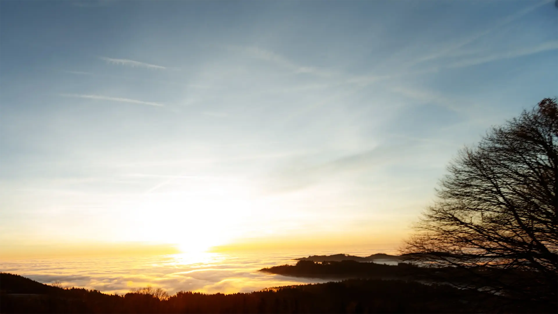 Mercedes-Benz G-Klasse im extremen Gelände: Maximale Verschränkung und Einsatz der Differenzialsperren im Bayerischen Wald.