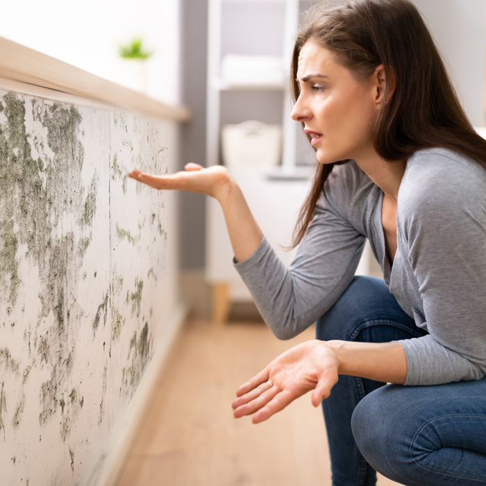 Kaliwasserglas, Wasserglasfarbe, wohngesund, baubiologisch, Baubiologie, Alkalität, Vermehrung, Wachstum, Pilze, Bakterien, natürlich, Art, behindert, robust, Witterungseinfluss, UV-Strahlung, nass-in nass, Außenbereich