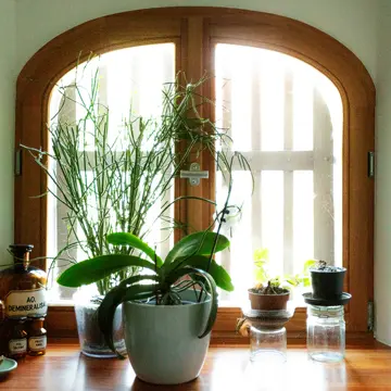 Detailaufnahme eines maßgefertigten Holzfensters mit tiefer Fensterbank im Bauernhaus in Fürstenzell-Scheuereck, gefertigt von Schreinerei Franz Renaltner, dem Experten für Fenster in Passau und München seit 1926.