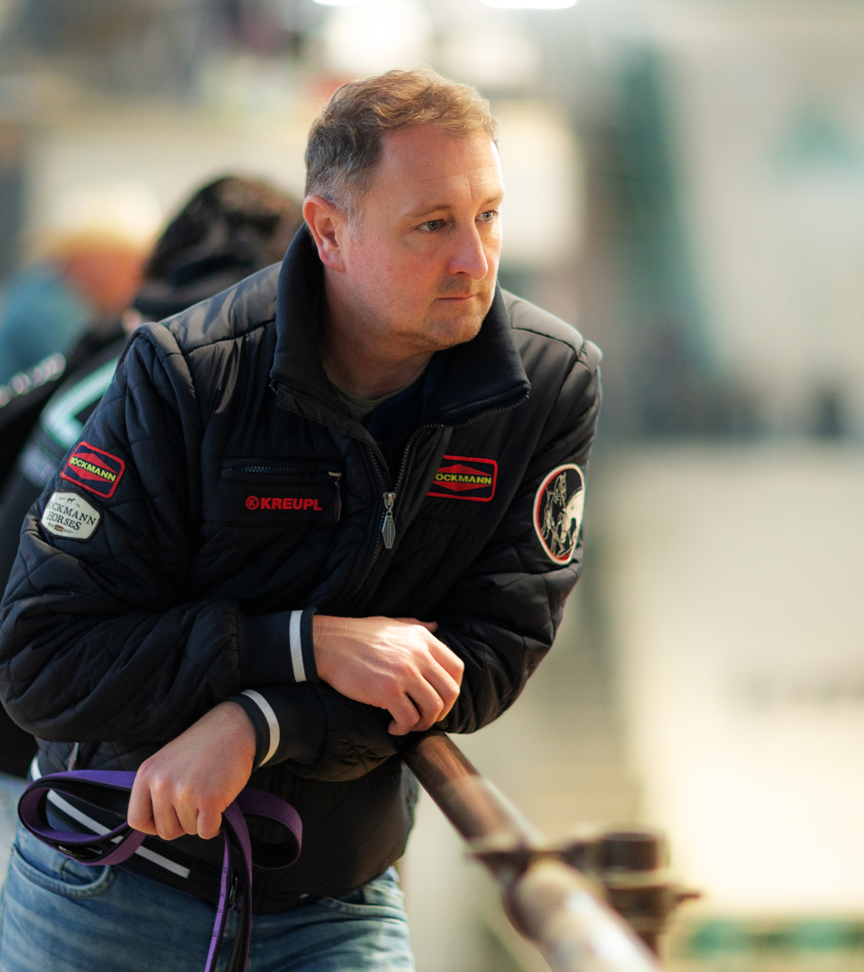 American Quarter Horses, Paint, Ausrüstung, Showarena, langärmlig, Hemd, Kragen, Jeans, Stiefel, Westernhut, Chaps, Sporen, gepflegt, Bild, Kleidung, Satteldecke, idealerweise, farblich, abgestimmt, Reiningsattel