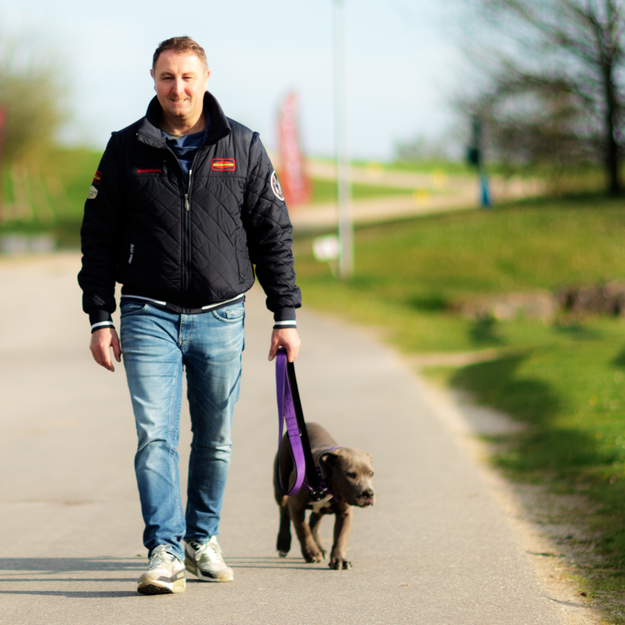 Freestyle Reining, Zuschauermagnet, freigestellt, interpretieren, Musik, Kür, Dressur, vergleichen, Dressurkür, Interpretation, Kostüm, Sattel, Zaumzeug, Palette, Wettbewerb, Meisterschaft, Weltreiterspiele